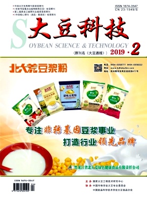 大豆科技
