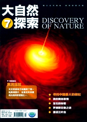 大自然探索