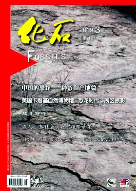 点击查看《化石》