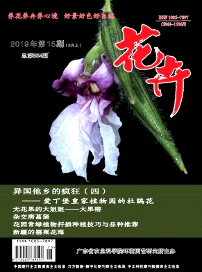 点击查看《花卉》