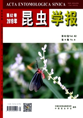 昆虫学报
