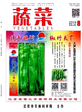 蔬菜