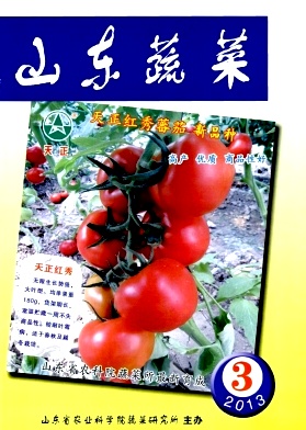 点击查看《山东蔬菜》