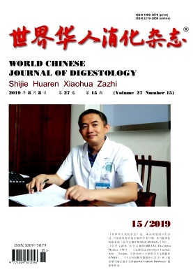 世界华人消化