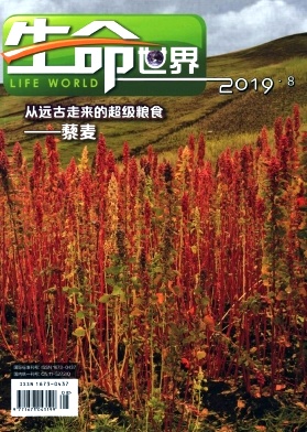 生命世界