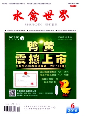 点击查看《水禽世界》