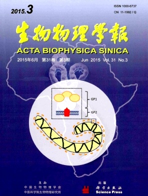 点击查看《生物物理学报》