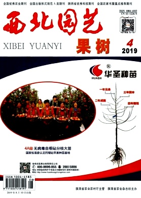 点击查看《西北园艺》