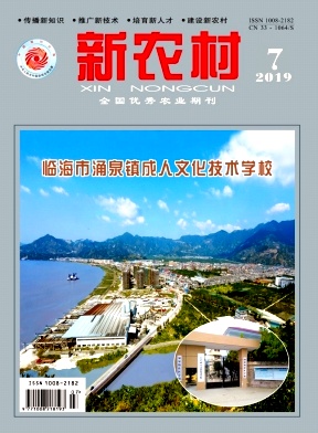 点击查看《新农村》