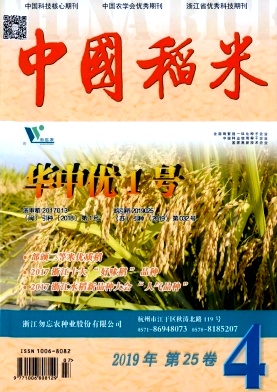 中国稻米