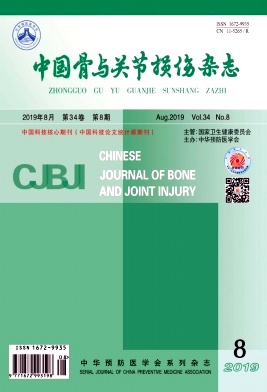中国骨与关节损伤