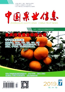 点击查看《中国果业信息》