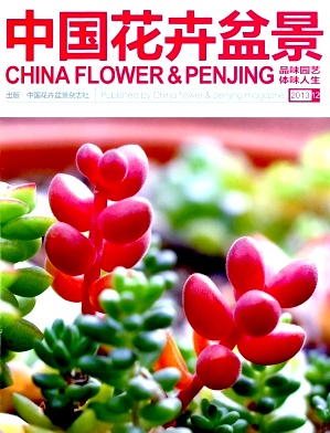 中国花卉盆景