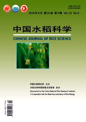 中国水稻科学