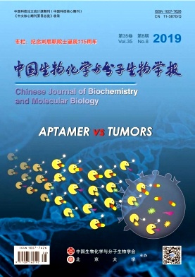 中国生物化学与分子生物学报