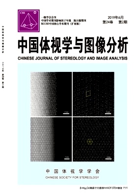中国体视学与图像分析