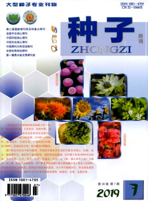 点击查看《种子》
